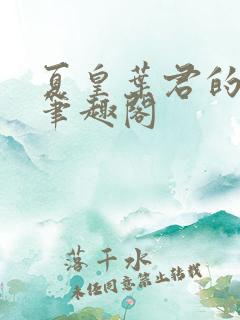 夏皇叶君的小说笔趣阁