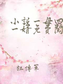 小说一母四女共一婿免费阅读