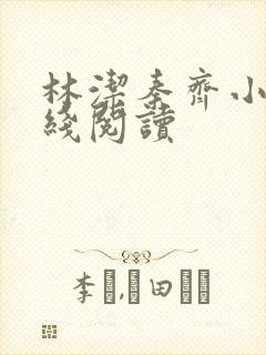 林洁秦齐小说在线阅读