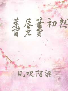 叶辰萧初然无弹窗免费