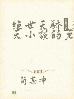 绝世天骄·叶凌天小说的免费阅读