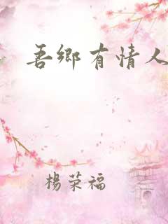吾乡有情人小说