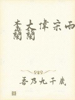 李大伟宋雨睛孙兰兰
