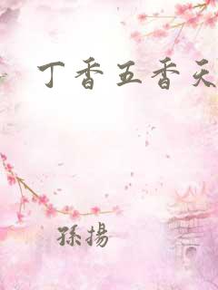 丁香五香天麻豆