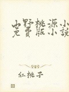 山野桃源小傻医免费版小说