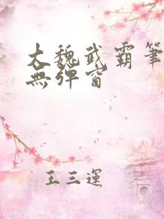 大魏武霸笔趣阁无弹窗