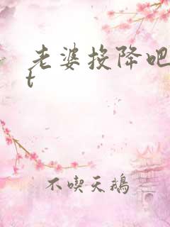 老婆投降吧txt