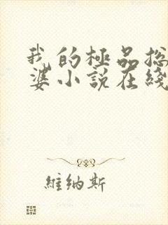 我的极品总裁老婆小说在线阅读