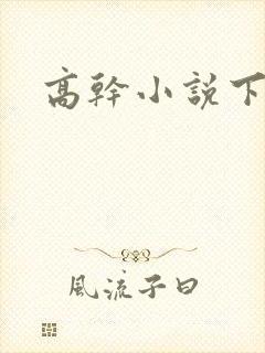 高干小说下载