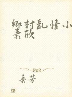 乡村乱情小说丁素欣