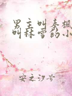 男主叫秦枫女主叫林雪的小说
