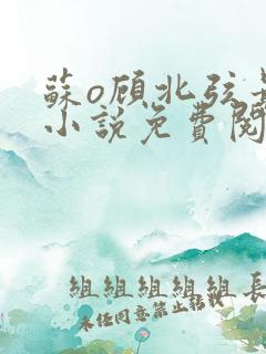 苏o顾北弦最新小说免费阅读