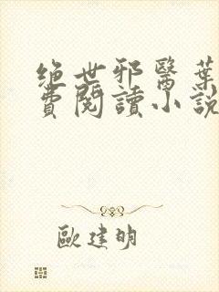 绝世邪医叶凡免费阅读小说