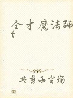 全才魔法师txt