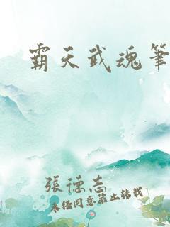 霸天武魂笔趣阁