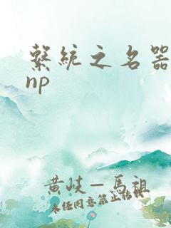 系统之名器攻略np