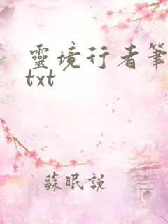 灵境行者笔趣阁txt