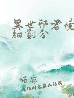 异世邪君境界详细划分