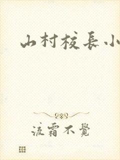 山村校长小说