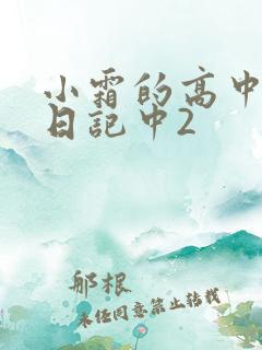 小霜的高中成长日记中2