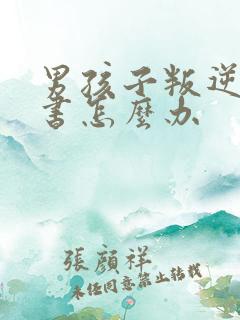 男孩子叛逆不读书怎么办