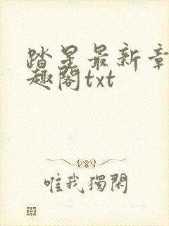 踏星最新章节笔趣阁txt