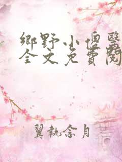 乡野小傻医小说全文免费阅读
