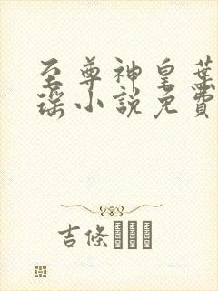至尊神皇叶尘池瑶小说免费