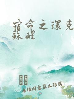 宿命之环克莱恩苏醒