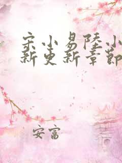 宋小易陆小婷最新更新章节笔趣阁