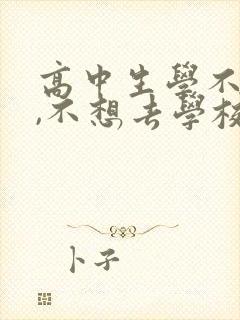 高中生学不下去,不想去学校咋办