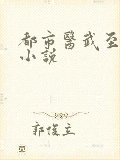都市医武至尊 小说