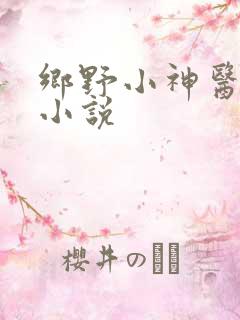 乡野小神医有声小说