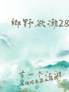 乡野欲潮28章