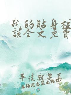 我的贴身校花小说全文免费阅读