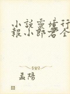 小说灵境行者卖报小郎君全文阅读