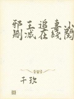 邪王追妻小说无删减在线阅读