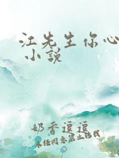 江先生你心动了 小说