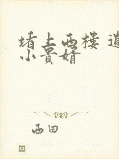 堵上西楼 逍遥小贵婿