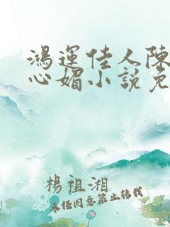 鸿运佳人陈斌赵心媚小说免费阅读