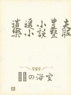 逍遥小农夫马小乐小说整版全文下载
