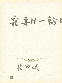 宠妻H一轮明月