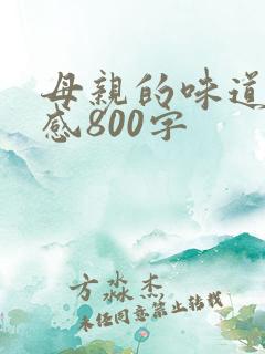 母亲的味道读后感800字