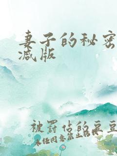 妻子的秘密无删减版