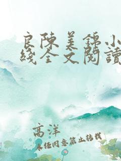 良陈美锦小说在线全文阅读