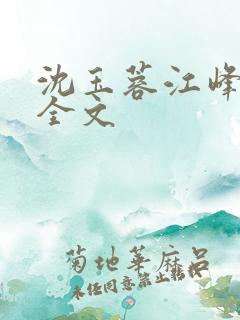 沈玉蓉江峰阅读全文