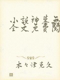小说神墓无弹窗全文免费阅读