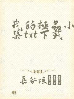 我的极品小姨全集txt下载