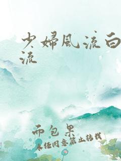 少妇风流白洁风流
