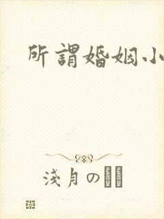所谓婚姻小说